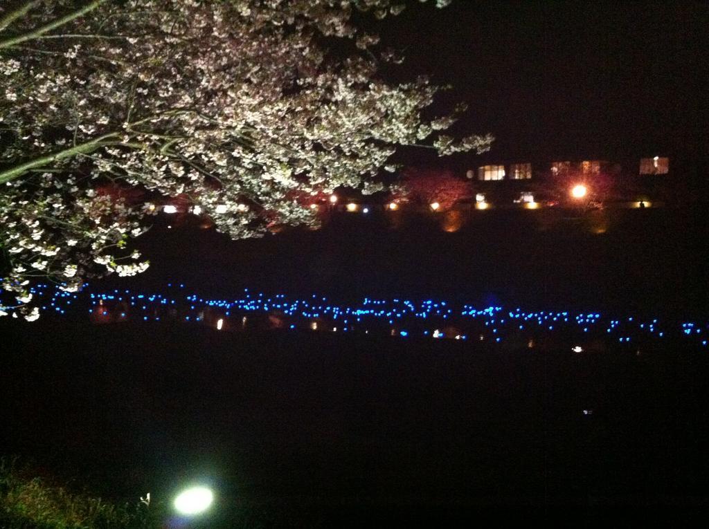 Hareya Shimoda (Shizuoka) Bagian luar foto