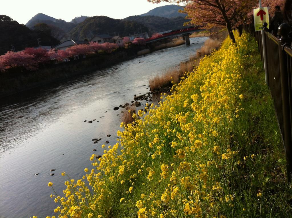 Hareya Shimoda (Shizuoka) Bagian luar foto